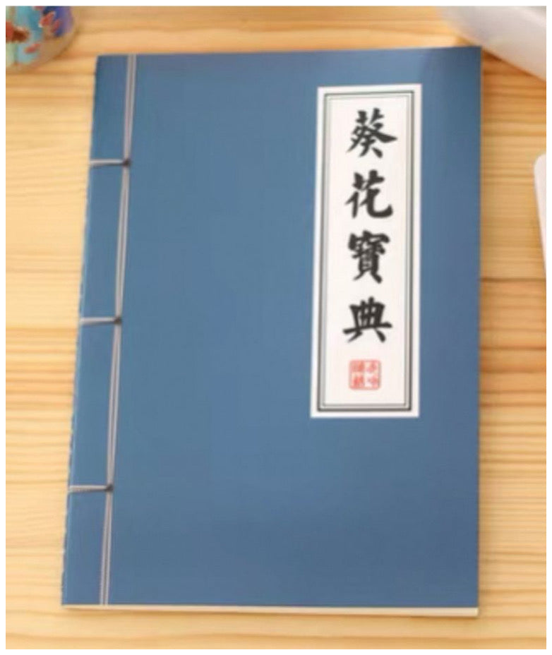 武術小説ノート(葵花宝典)
