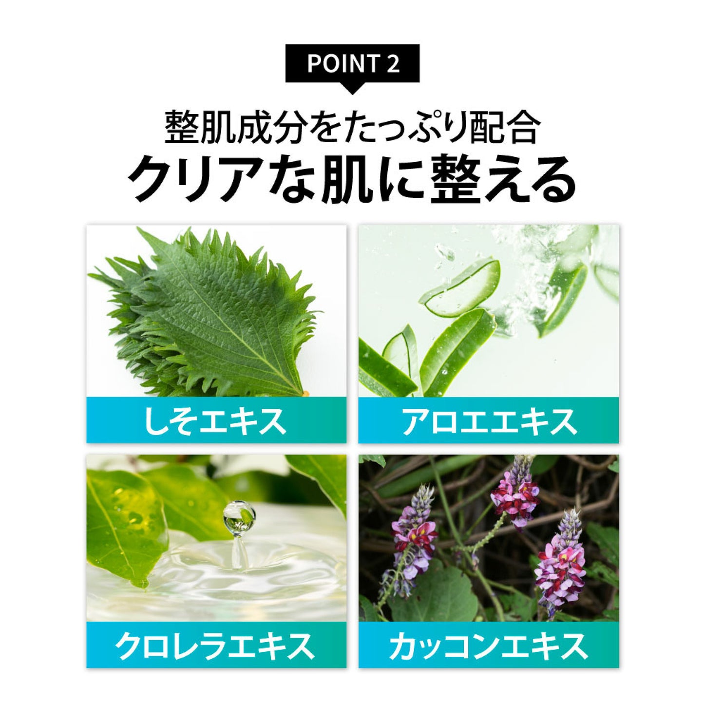 agora 薬用化粧水