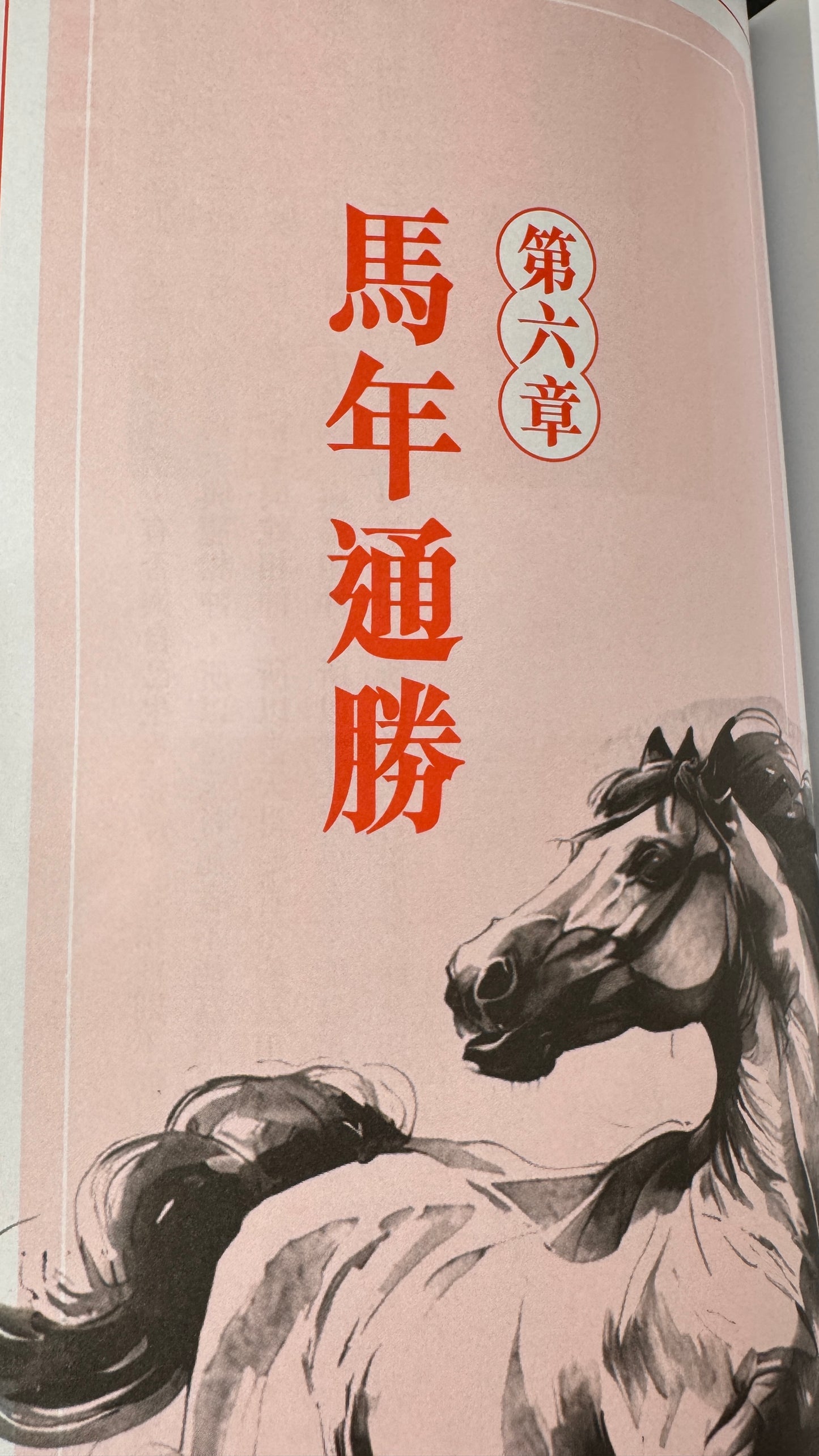 蘇民峰馬年運程2026年 馬年の運勢 本 363ページ