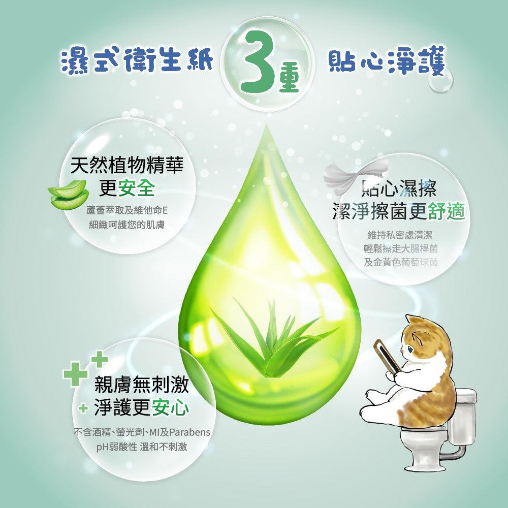 Tempo湿らせた水洗ディッシュ(1個)