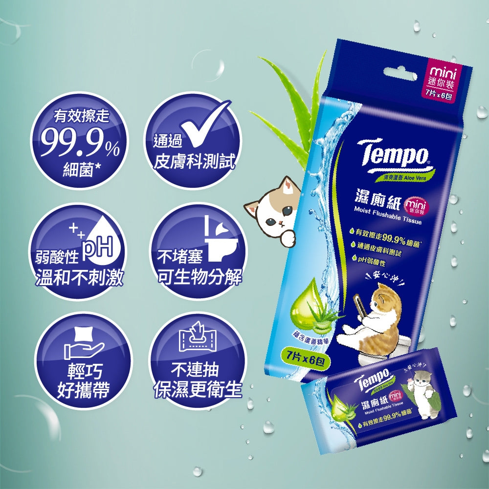 Tempo湿らせた水洗ディッシュ(1個)
