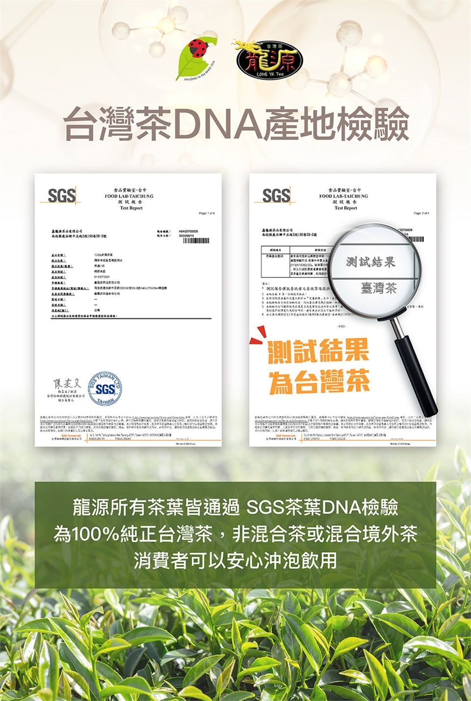 台湾凍頂烏龍茶（150g）１缶