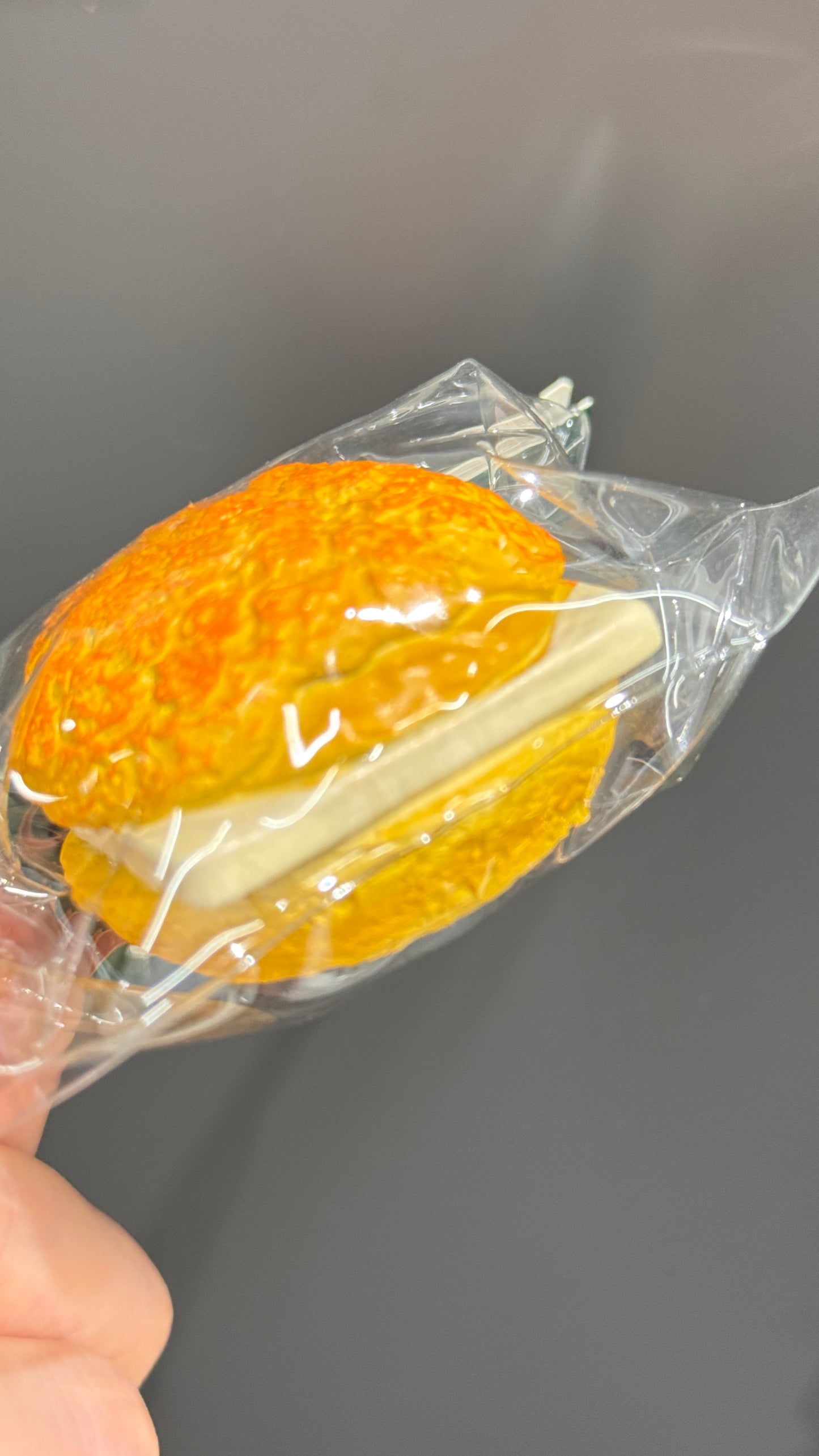 菠蘿包マグネット