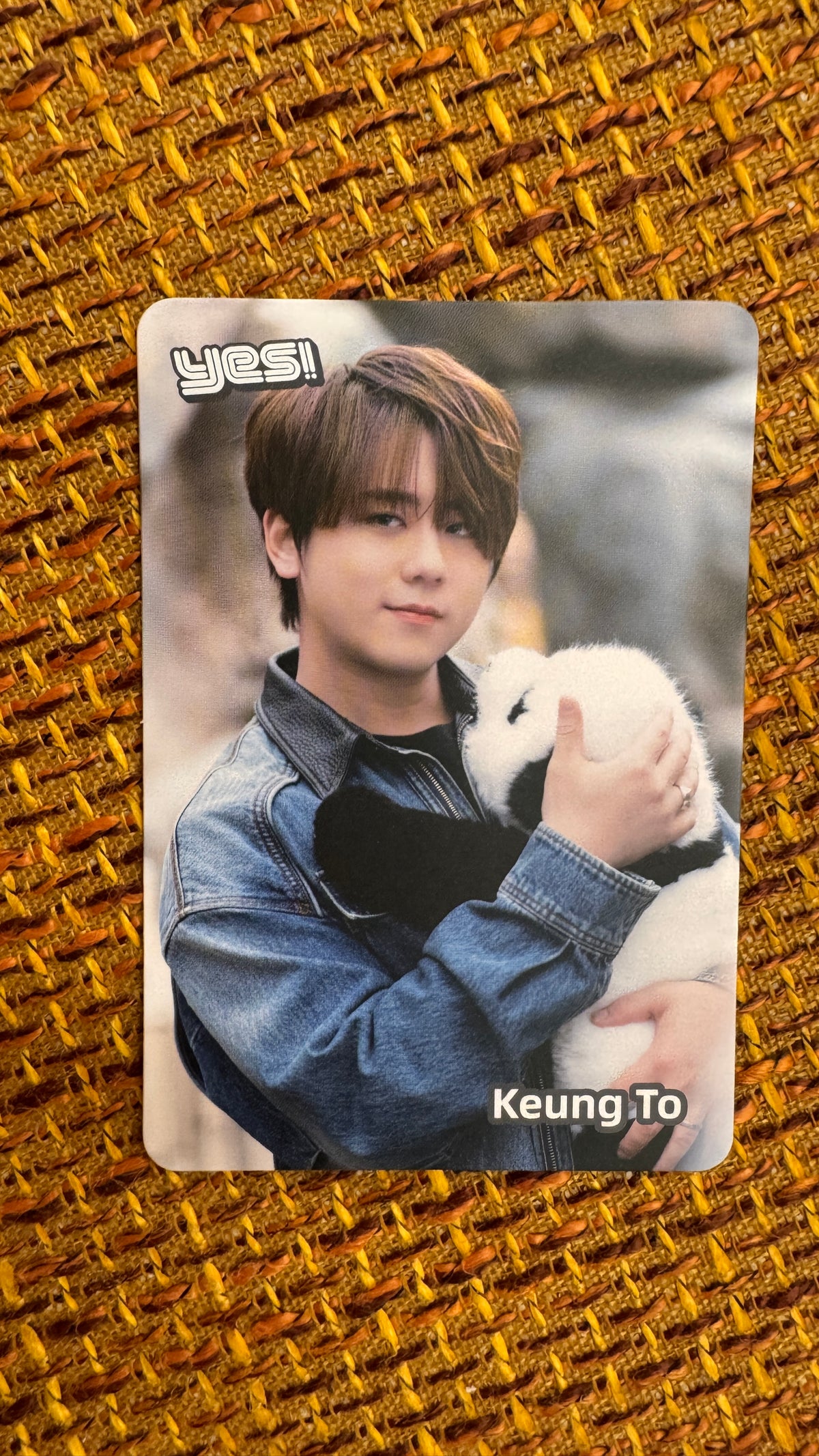 Keung To  姜濤  Yes Card