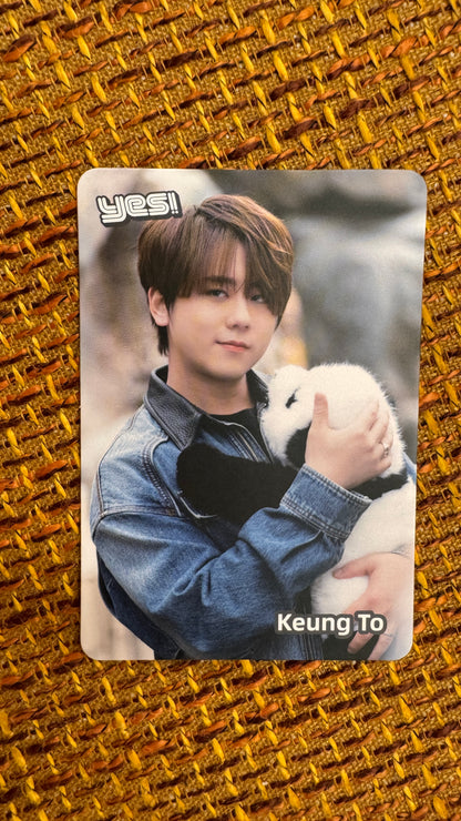 Keung To  姜濤  Yes Card