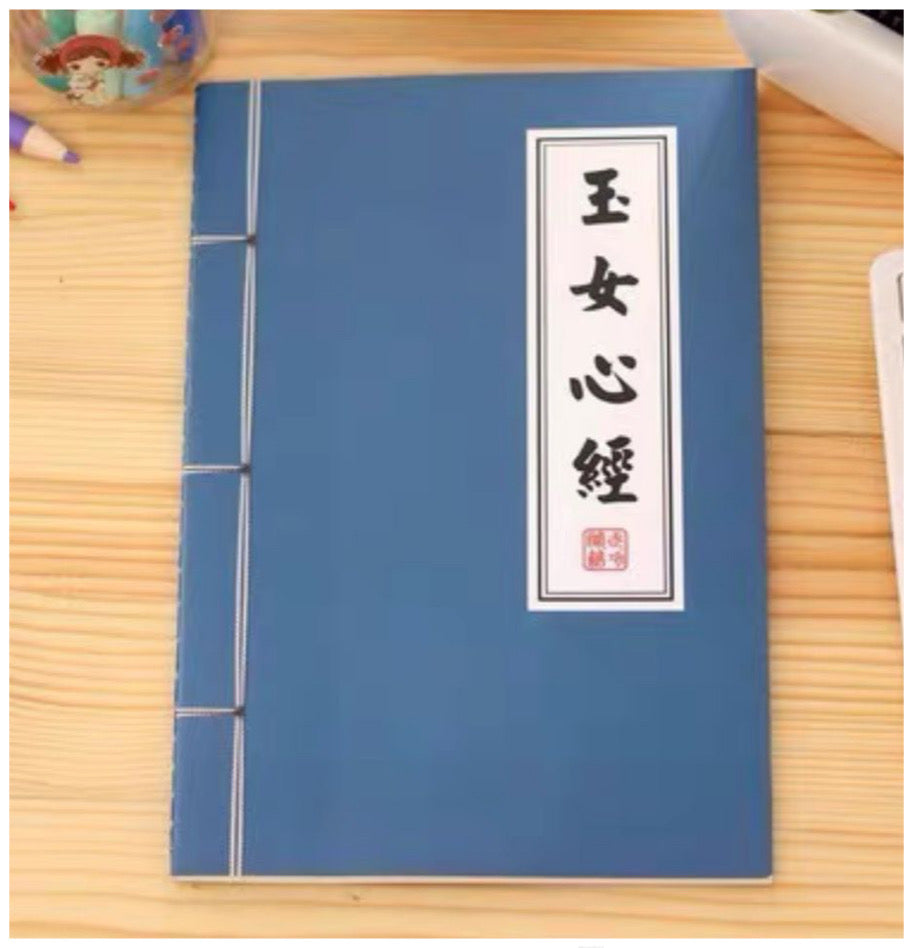 武術小説ノート（玉女心経）