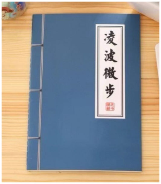 武術小説ノート（凌波微歩）