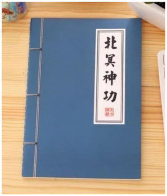 武術小説ノート（北冥神功）