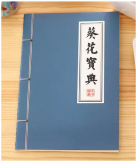 武術小説ノート（葵花宝典）