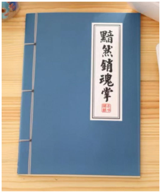 武術小説ノート（黯然銷魂掌）
