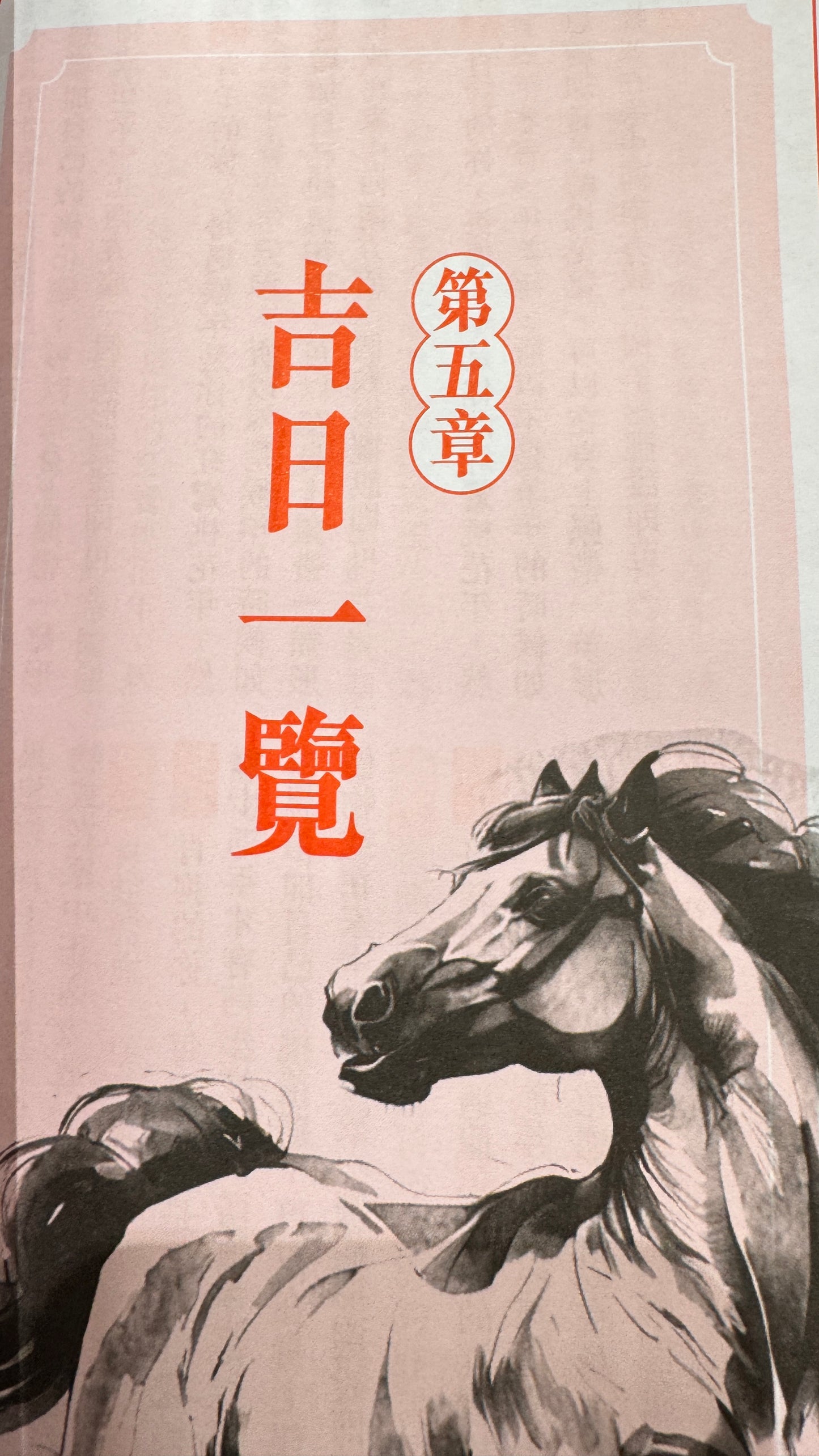 蘇民峰馬年運程2026年 　馬年の運勢　本　363ページ
