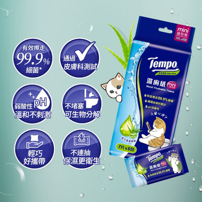 Tempo湿らせた水洗ディッシュ（1個）